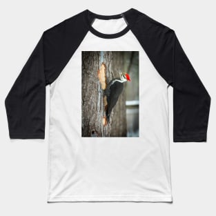 Piletated Woodpecker Baseball T-Shirt